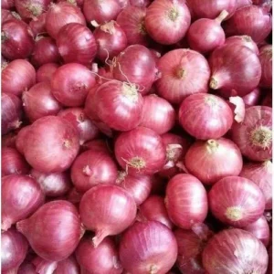 fresh red onion 1758628853 8301478